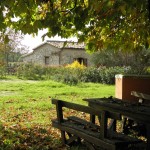 il mandrone 2