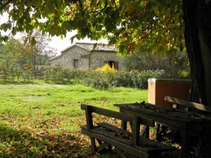il mandrone 2