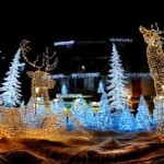 LUMINARIE